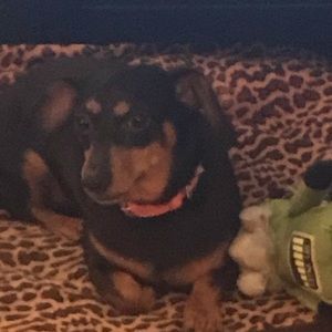 Meet your Posher, Deborah